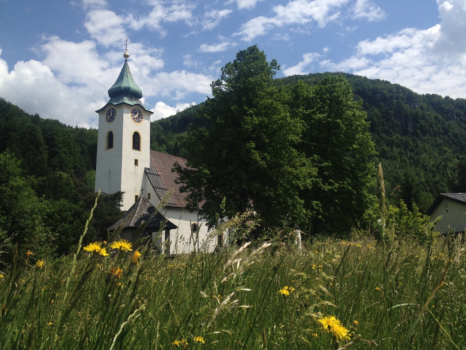 Pfarrkirche St. Nikolaus in Altenmarkt an der Enns 